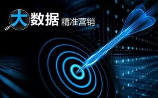 頂頂1258網 用大數據服務中小微企業的互聯網營銷與工業互聯網數據服務